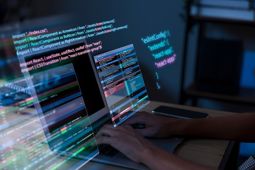 خدمات التطوير